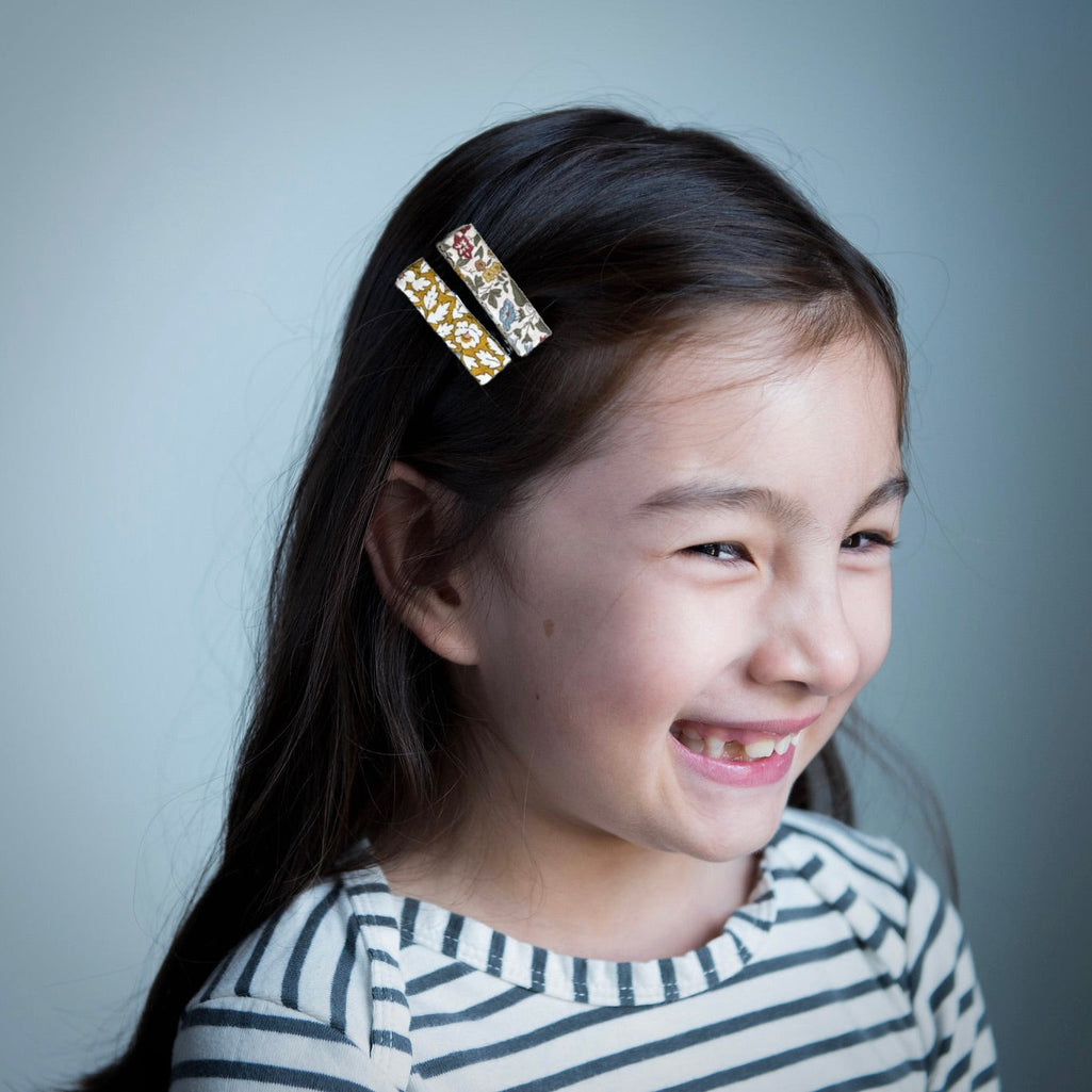 Liberty Bar Clips