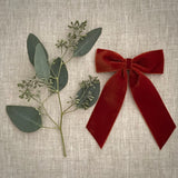 Big Velvet Bow, Rust