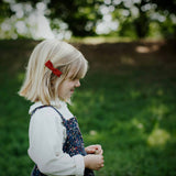 Petal Bows, Cinnamon/Blue Florals Bundle Set